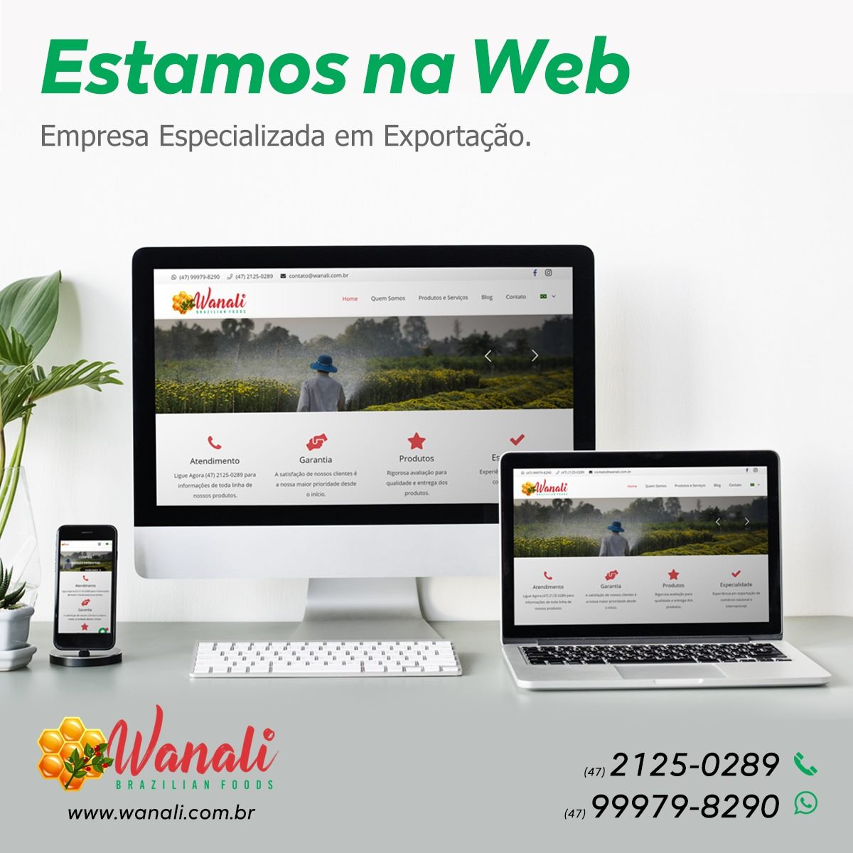 Novo Site No Ar Título do site Wanali Exportações Título do site